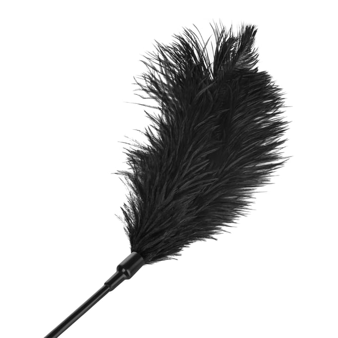 'Large Feather Tickler'
