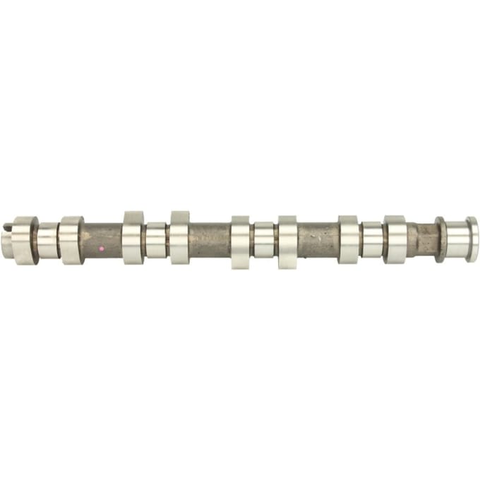 Nokkenas  AE CAM907
