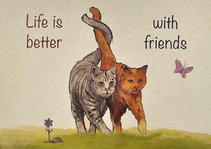 Ansichtkaarten "Life is better.." (15x10,5cm) 5 stuks