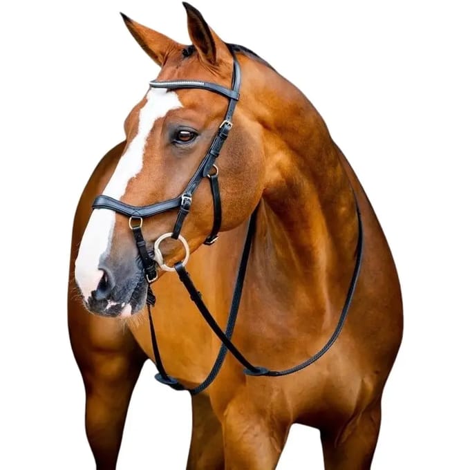 Hoofdstellen Horseware Micklem 2 Diamante