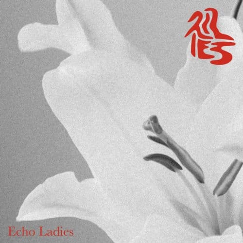 Lilies -Coloured Vinyl- - Echo Ladies
