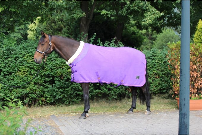 MHS Fleecedeken Deluxe 100/125 cm Paars