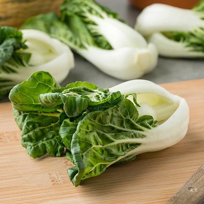 Chinese kool zaden - Pak Choi Canton Dwarf White