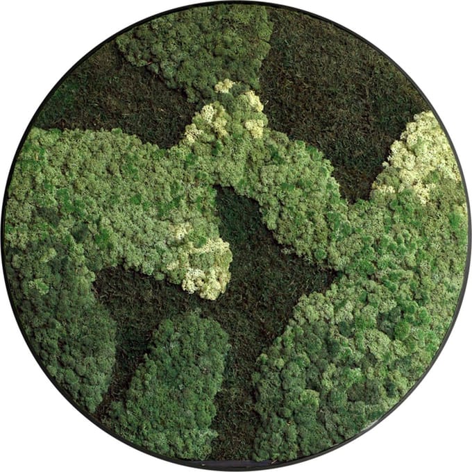 Mosschilderij Vaya - Cirkel 60cm - Luxe stalen rand zwart