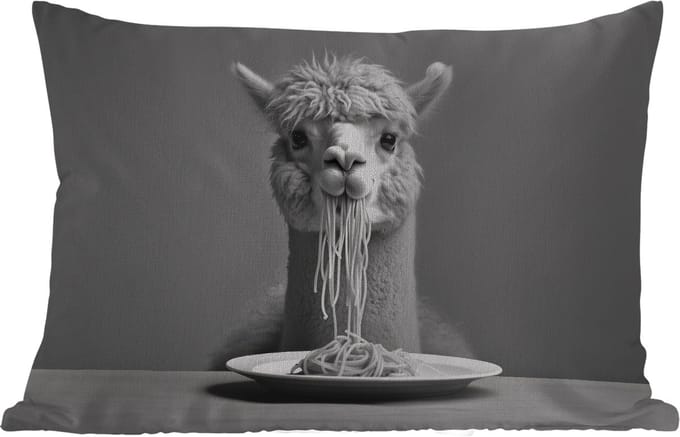 Buitenkussens - Tuin - Alpaca - Pasta - Zwart - Wit - Grappig - Dieren - 50x30 cm
