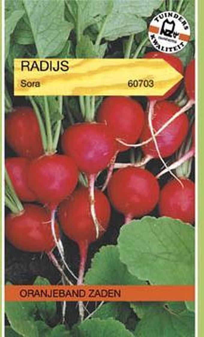 Oranjebandzaden -  Radijs Sora