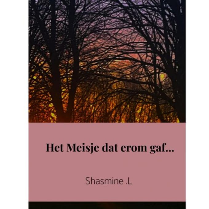 Het Meisje Dat Erom Gaf... - Shasmine .L