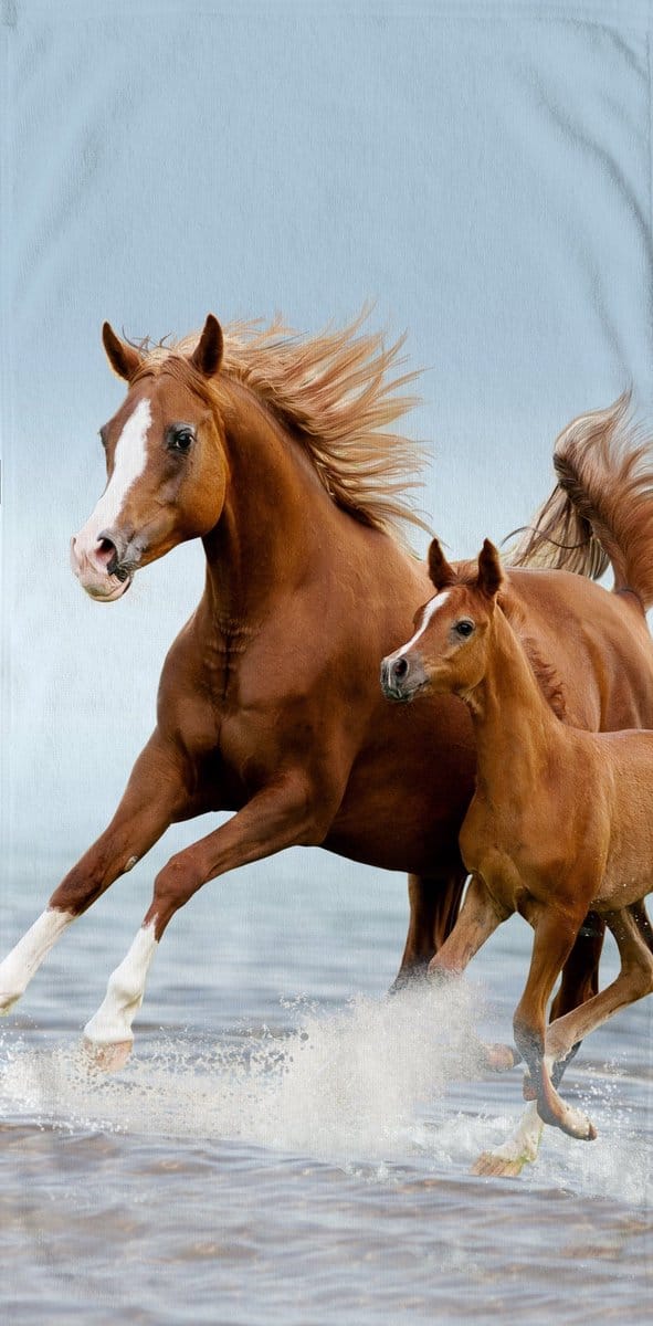 Good Morning Kinderstrandlaken "paarden" - Multi - (75x150 cm) - Microfiber