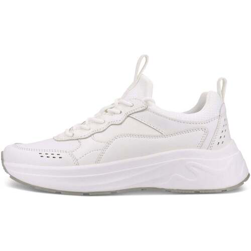 Lage Sneakers Salamander -