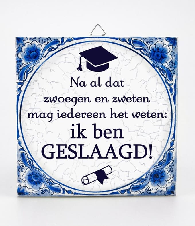 Tegels delfts blauw - Geslaagd school