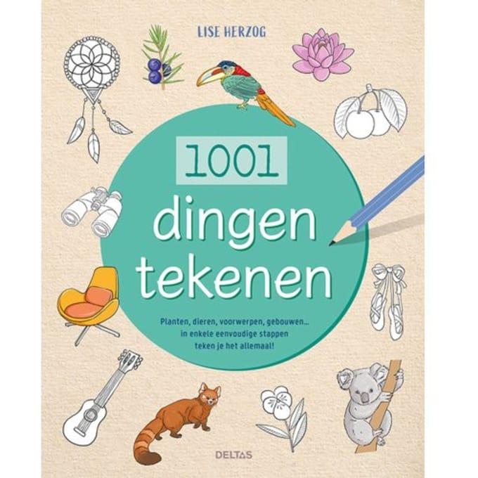 1001 Dingen Tekenen - Lise Herzog