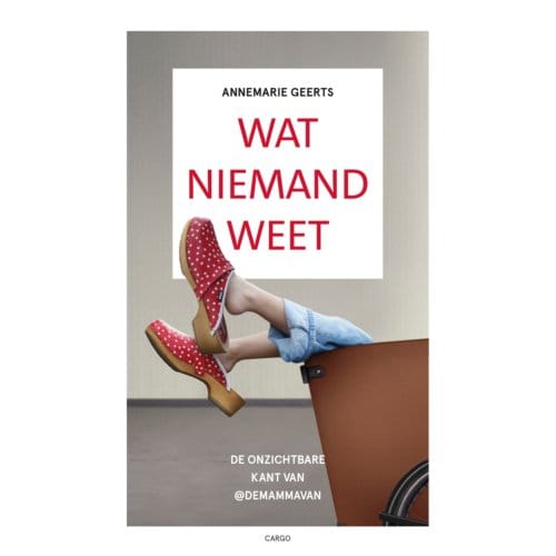 Wat Niemand Weet - Annemarie Geerts
