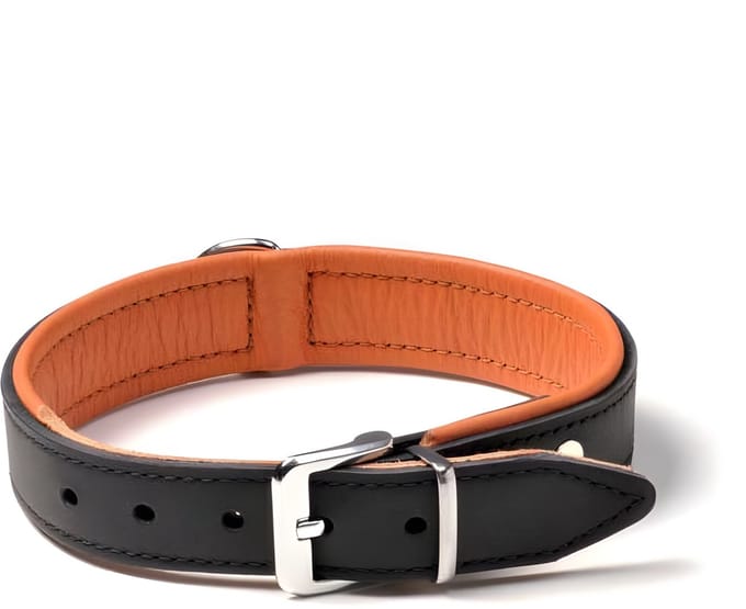 Karlie Rodeo - Halsband - Leer - Zwart/Cognac - Verstelbaar