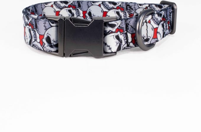 Luxe Halsband voor Honden-Metaal-Verstelbaar- 26 Cm-40 Cm x 2 Cm-D92