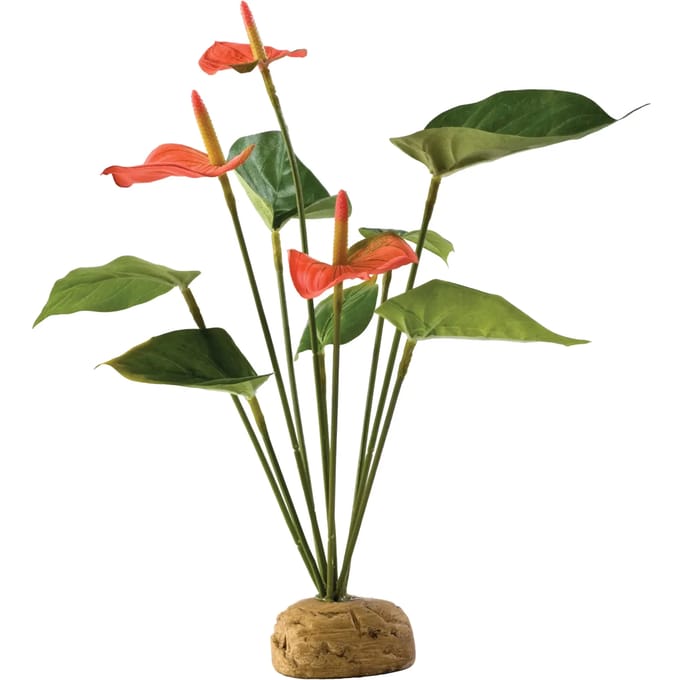 Anthurium decoratie kit Exo Terra