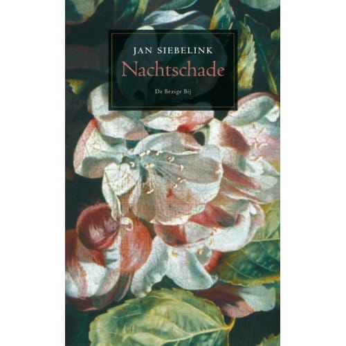 Nachtschade - Jan Siebelink