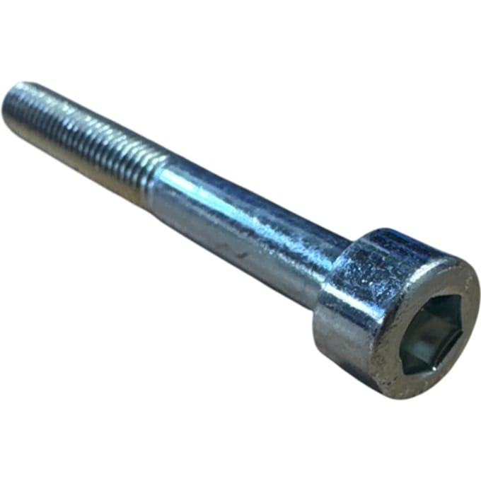 Screw