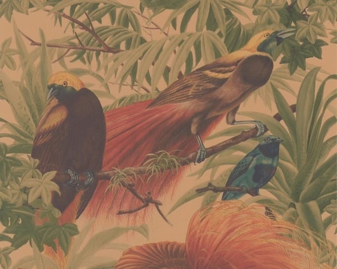 Paradijsvogel behang jungle 6954-37