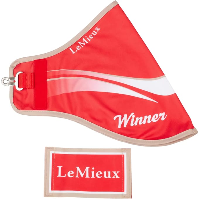 LeMieux Hobby Horse Winners Rug Rood - One size