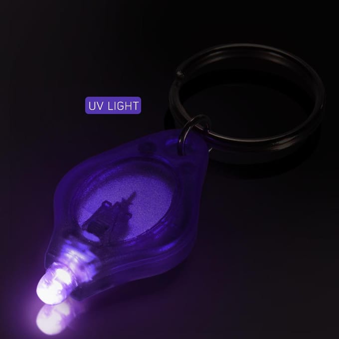 10*Mini draagbare sleutelhanger licht zaklamp sleutelhanger licht zaklamp UV-controle 10 pcs paars