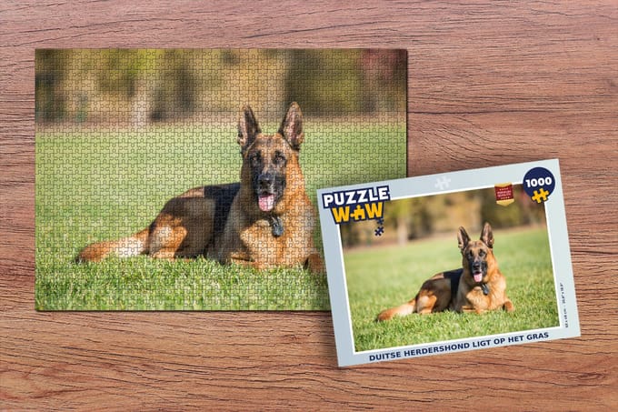 Puzzel Duitse herdershond ligt op het gras - Legpuzzel - Puzzel 1000 stukjes volwassenen