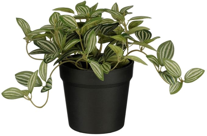 Kunstplant mica tradescantia in pot 16x16cm | 6 stuks