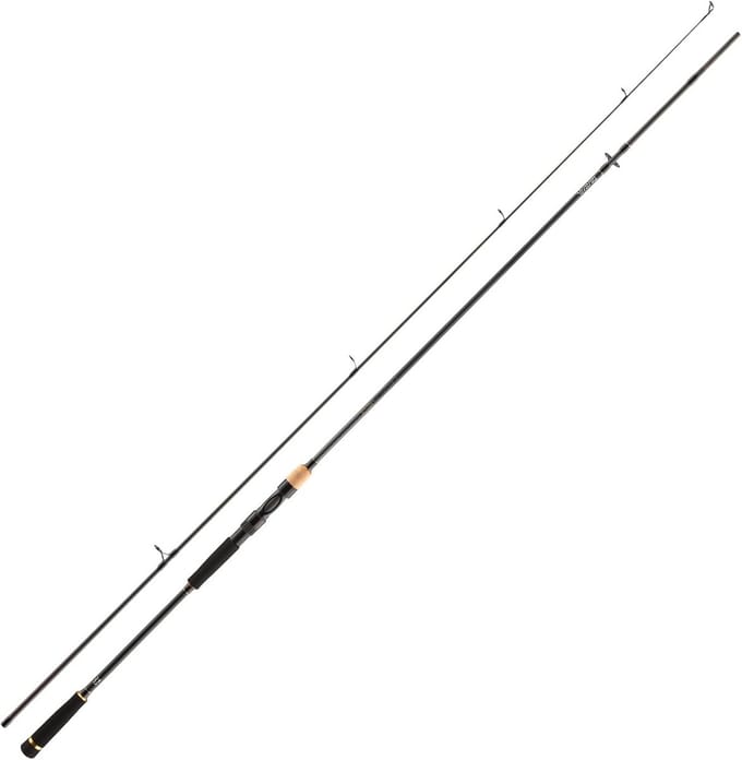 Allround Vaste Stok 300 cm, 30-90 gram Werpgewicht voor Diverse Vissoorten