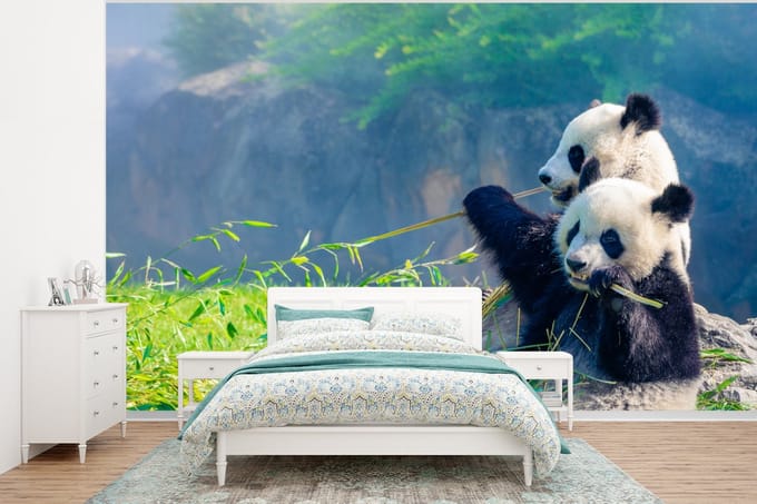 Behang - Fotobehang Panda - Bamboe - Gras - Dieren - Breedte 295 cm x hoogte 220 cm