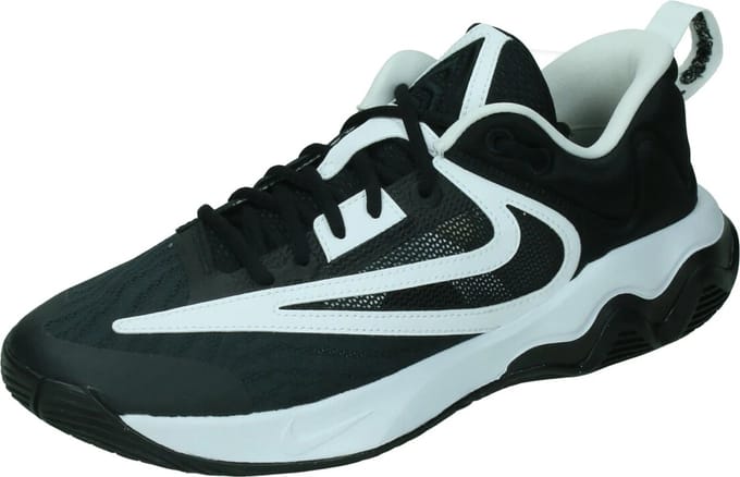 Nike giannis immortality 3 in de kleur zwart.
