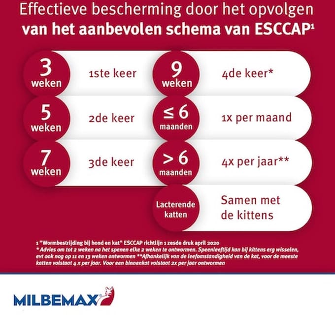 Milbemax - grote kat - 16 tabletten