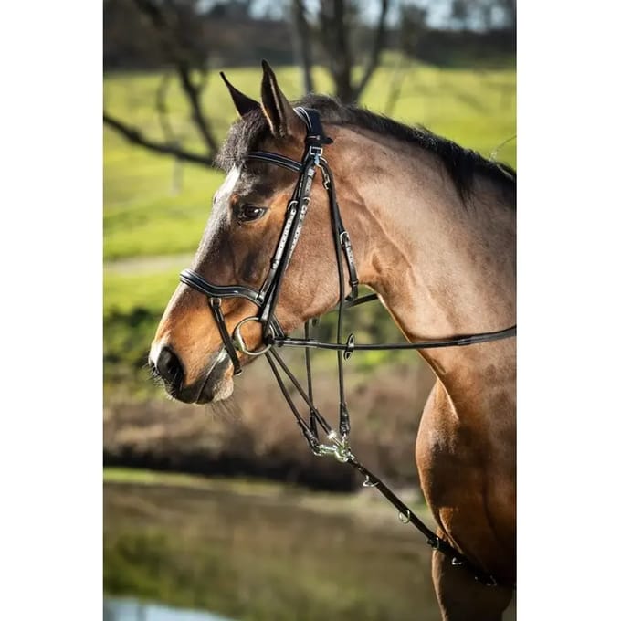 Gogue voor paarden HFI