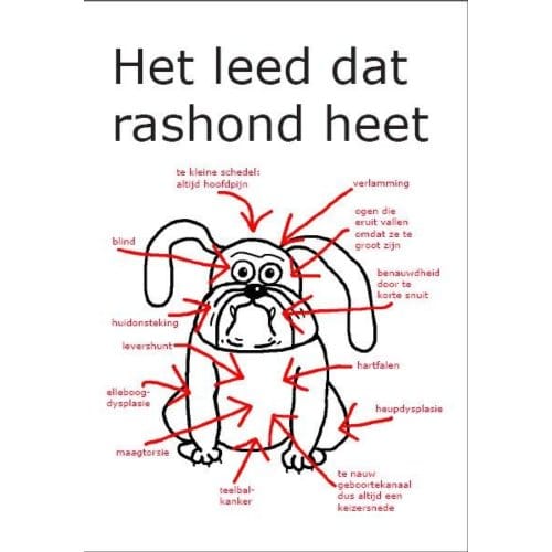 Het Leed Dat Rashond Heet - Uitgeverij De Graveinse Abeel
