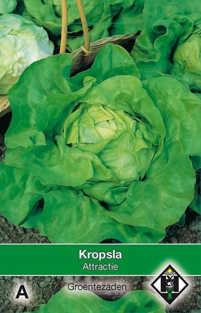 Van Hemert - Kropsla Attractie