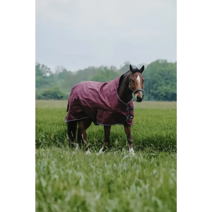 Outdoor paardendeken Equithème Tyrex 1200D 150g High Neck