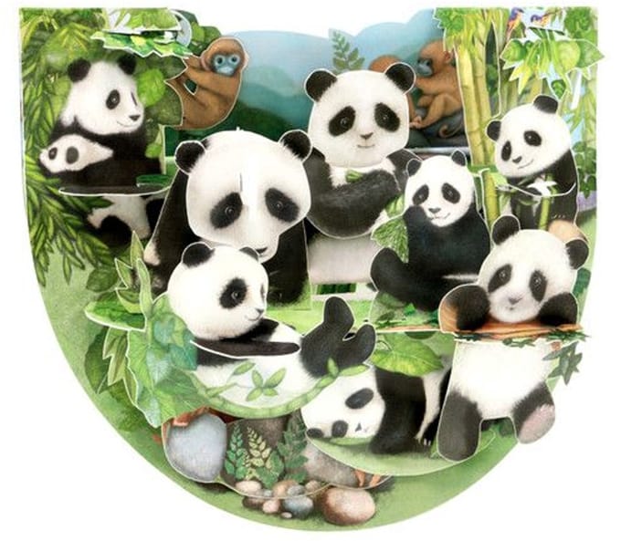 3D Popnrock - Wenskaart - PR106 - Pandas