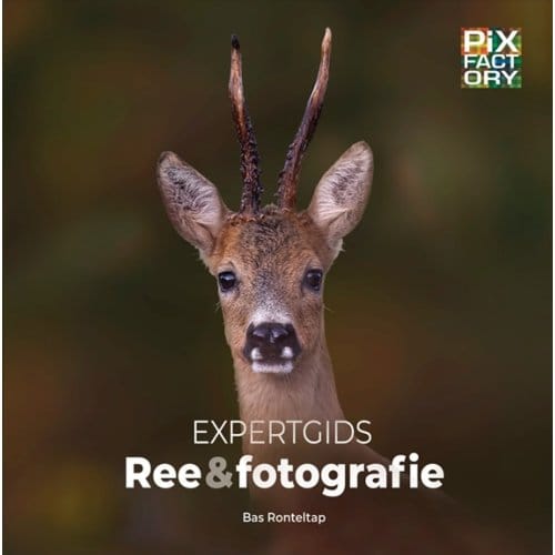 Expertgids Reeënfotografie - Expertgidsen - Bas Ronteltap
