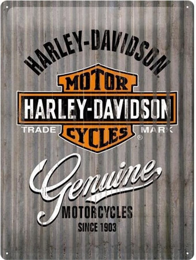Wandbord - Harley-Davidson met wave -30x40cm-