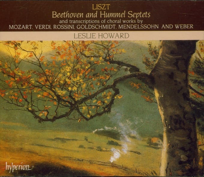 Leslie Howard - Klaviermusik (Solo) Volume 24 (CD)