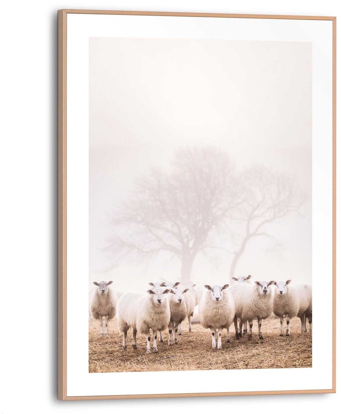 Schilderij Schaap in de mist - 40 x 30 - Hout - REINDERS