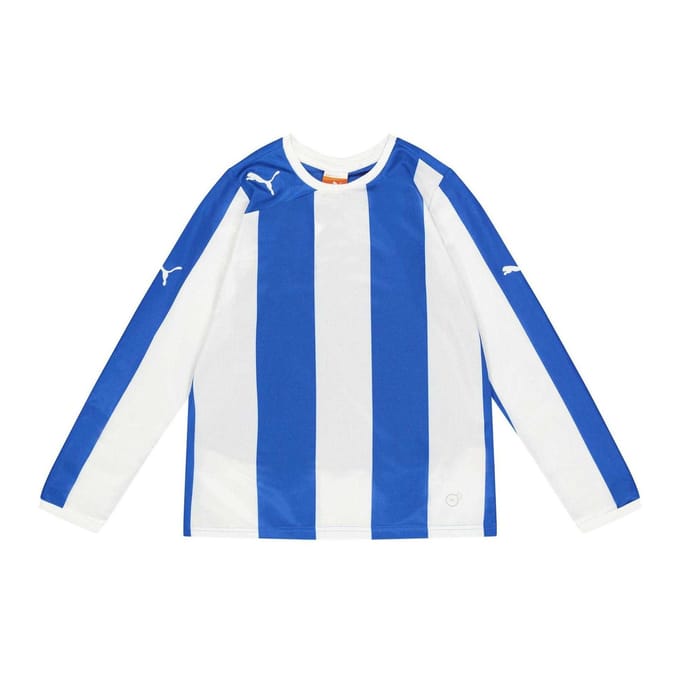 Puma Kinder Langarm Trainingsshirt (Blauw)