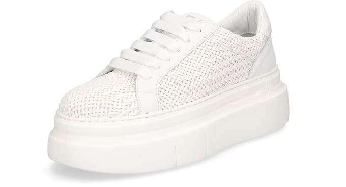 Gio+ Sneaker Wit 39