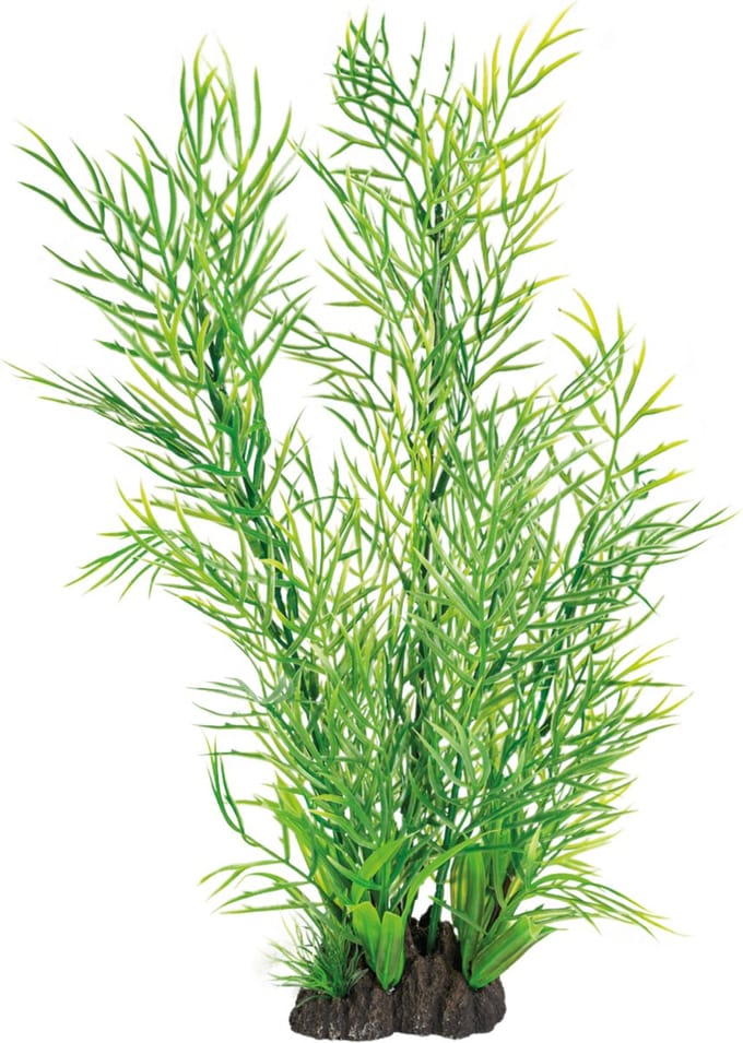 SuperFish Art Plant 40CM Ceratopteris
