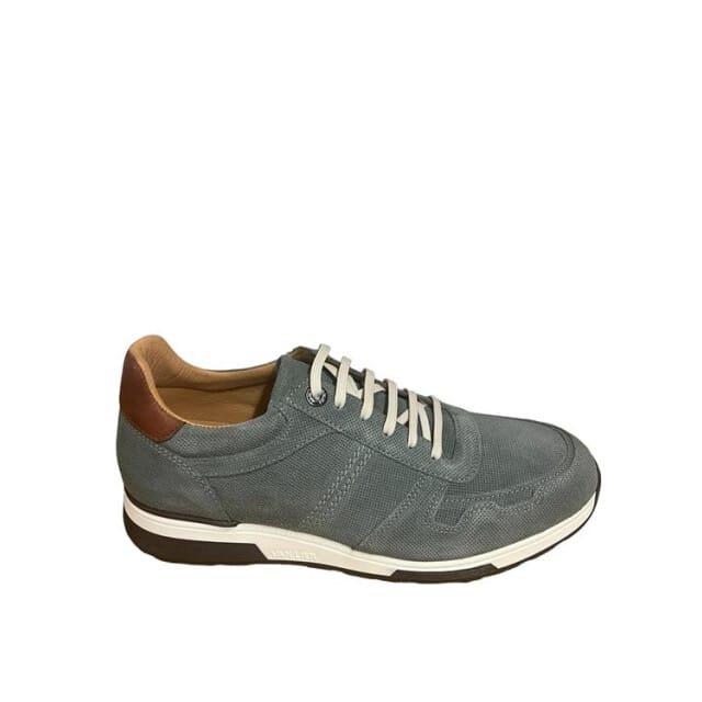 Van Lier 2415512