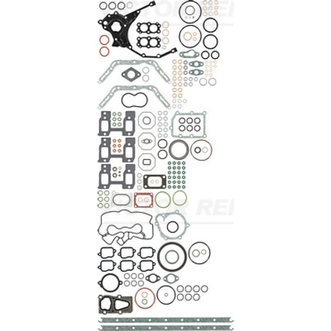 Pakkingset, motor REINZ 01-39563-01