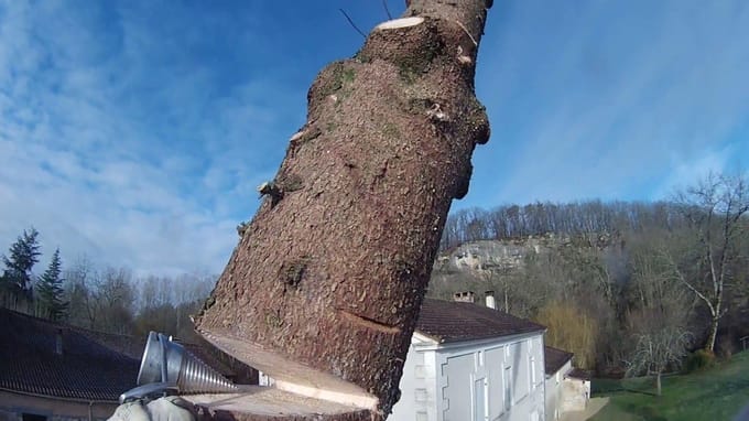 Professioneel Rateltouw voor Veilig en Efficiënt Zagen en Demonteren van Bomen