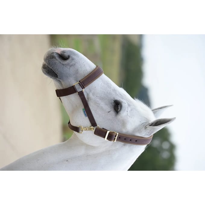 Bucas Halster Comfort Bruin - middel