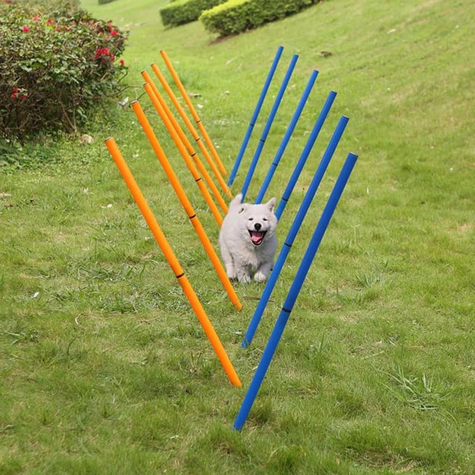 Draagbare Hondensport Agility Trainings Speelhek Paal Stok voor Buitensportuitrusting orange