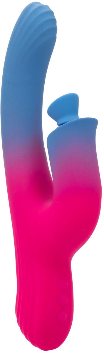 Dual Stimulator Zuig Vibrator