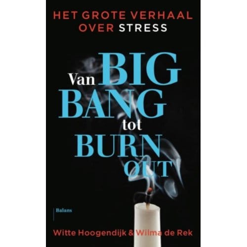 Van Big Bang Tot Burn-Out - Witte Hoogendijk