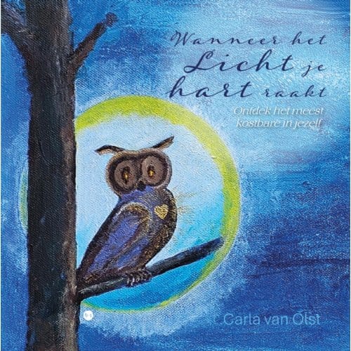 Wanneer Het Licht Je Hart Raakt - Carla van Olst